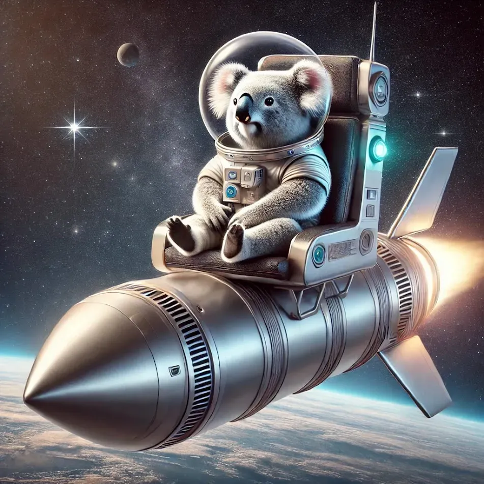 Koala On Rocket