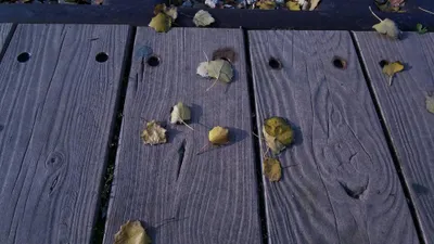 Jerusalem - Other Jerusalem Photos - pexels-danielrosehill-10715198.jpg