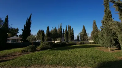 Jerusalem - Other Jerusalem Photos - pexels-danielrosehill-10808397.jpg