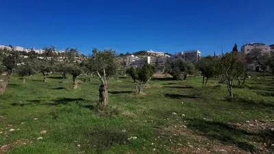 Jerusalem - Other Jerusalem Photos - pexels-danielrosehill-10891528.jpg