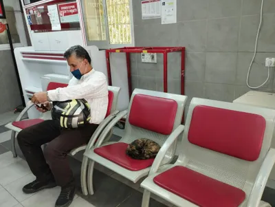 Israel - pexels-danielrosehill-11987700.jpg