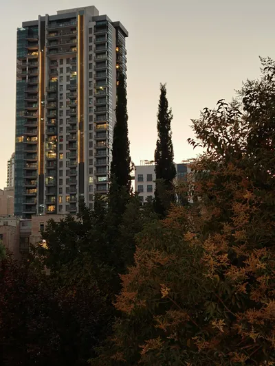 Jerusalem - Other Jerusalem Photos - pexels-danielrosehill-32742673.jpg