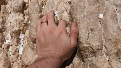 Jerusalem - Other Jerusalem Photos - pexels-danielrosehill-33979663.jpg