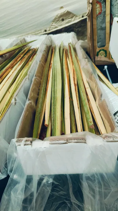 Judaism & Jewish Culture - pexels-danielrosehill-34171802.jpg