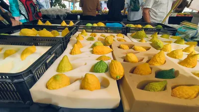 Hebrew Signage - pexels-danielrosehill-34171804.jpg