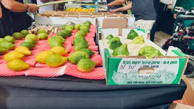 Judaism & Jewish Culture - pexels-danielrosehill-34171807.jpg