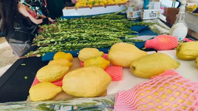 Judaism & Jewish Culture - pexels-danielrosehill-34171809.jpg