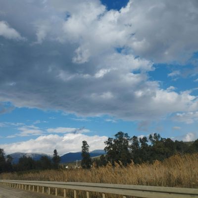 Ghajar - pexels-danielrosehill-15665489.webp