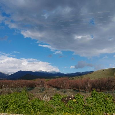 Ghajar - pexels-danielrosehill-15665492.webp