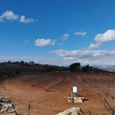 Metulla - pexels-danielrosehill-15530923.webp